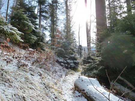 Malo snijega na putu